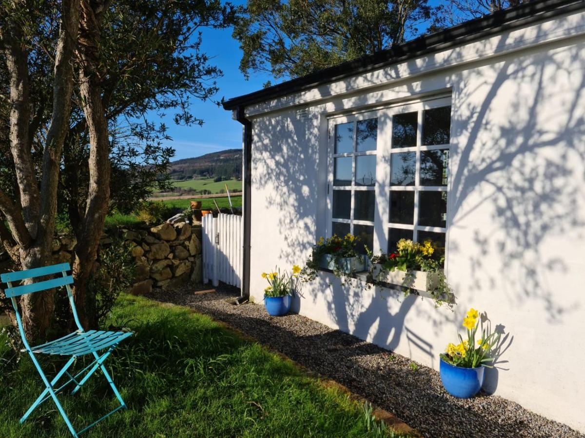 Lynam Cottage Ashford Екстер'єр фото